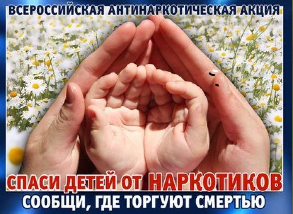 bc93457e48c8d9131ca9b06b0f3e77af_XL.jpg
