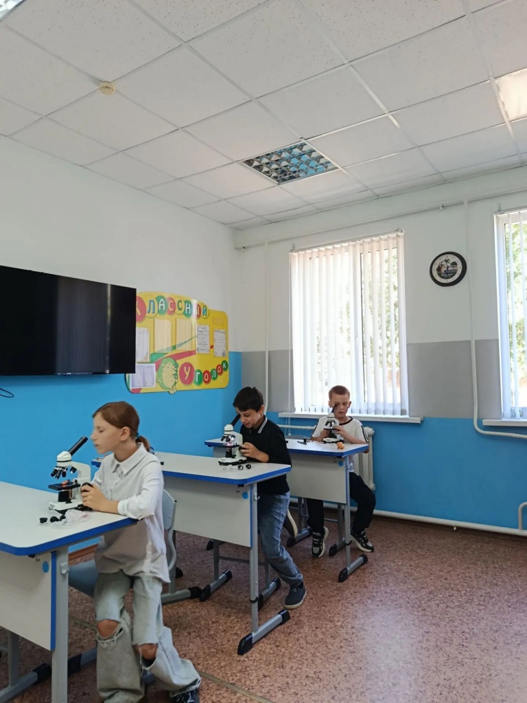 IMG_20260910_131339_412.jpg